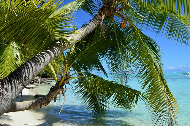 Bora Bora, French Polynesia;